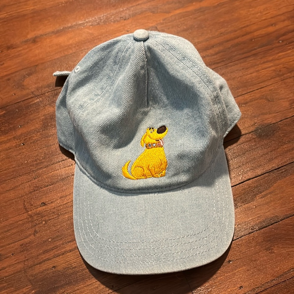 Disney Hat - Up - Doug character